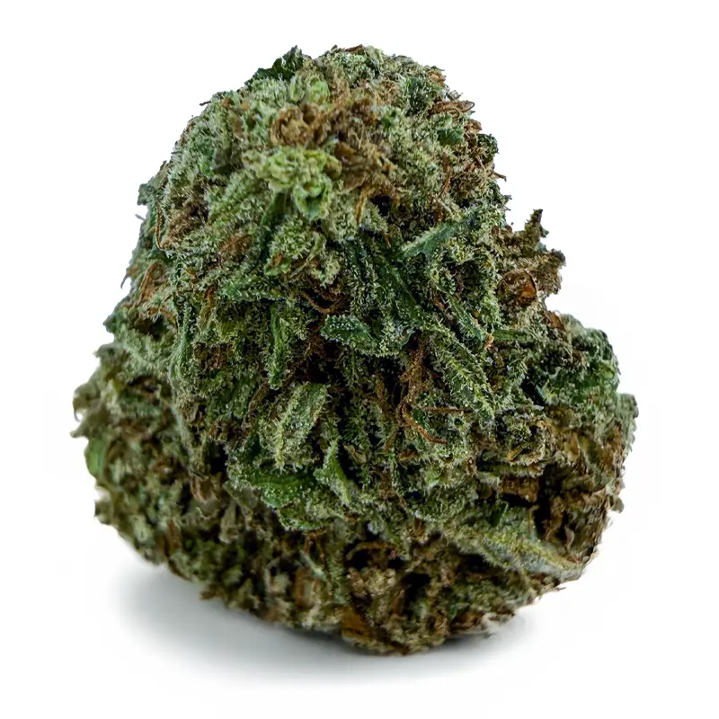 ACAPULCO GOLD
