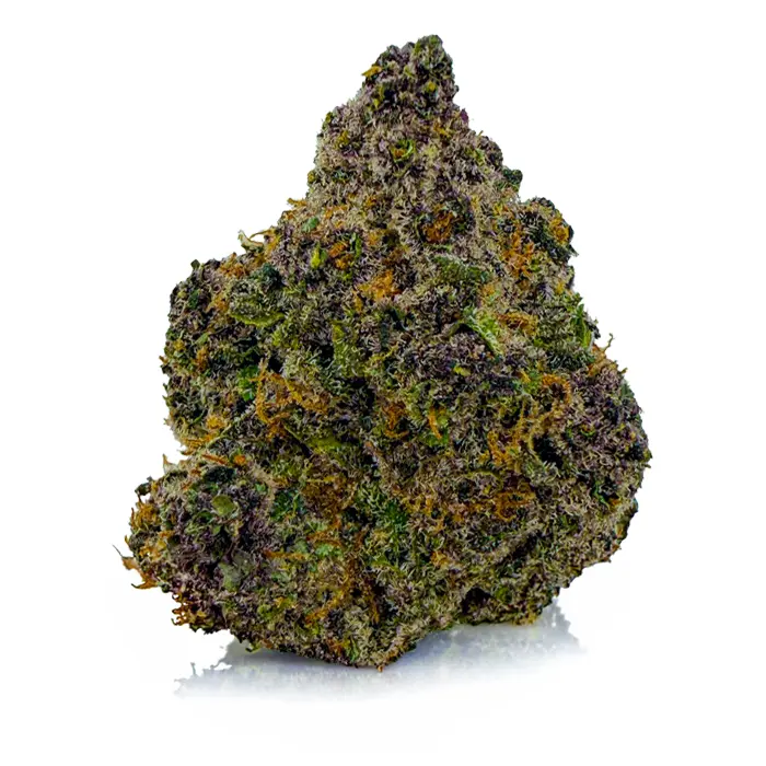 BRUCE BANNER