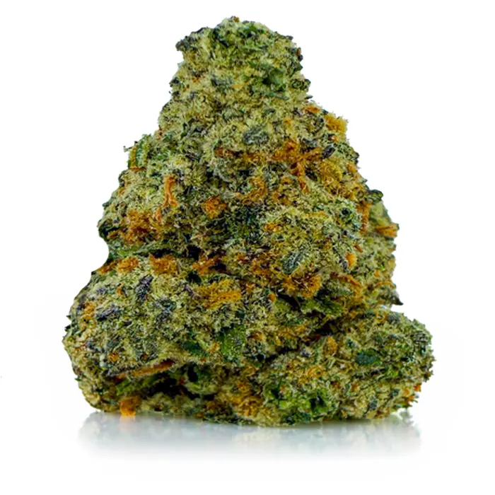 GREASE MONKEY