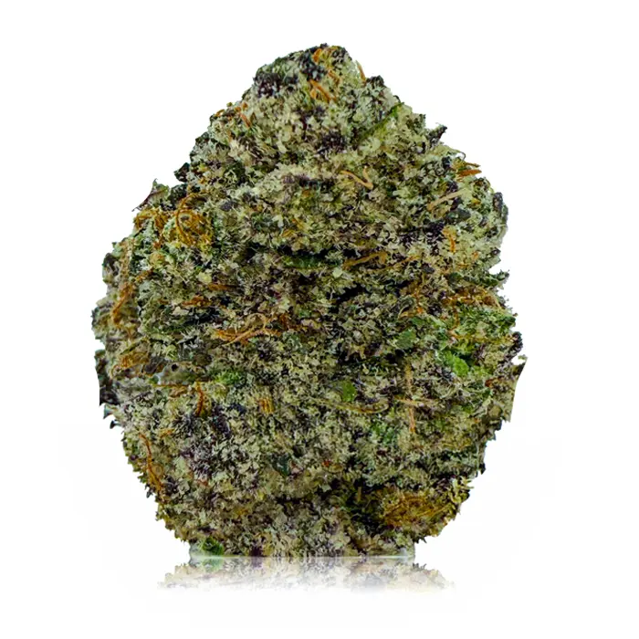 PINK ICKY STICKY